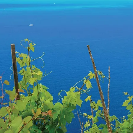 Σπίτι διακοπών One-bedroom In